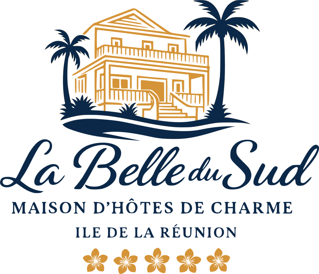 logo la belle du sud